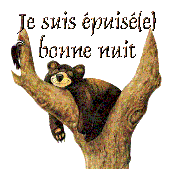 je_suis_epuise_bonne_nuit_ours_arbr.gif je_suis_epuise_bonne_nuit_ours_arbr image by Createlier